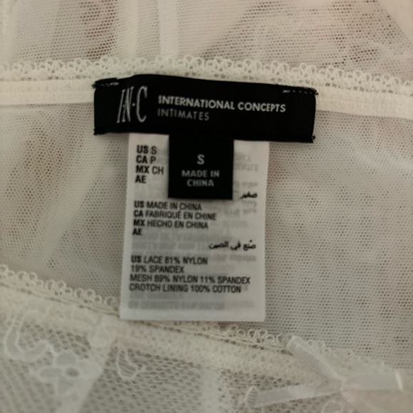 INC International Concepts Cheeky Lace Brief Panty, Washed White NWT $14.99 Sm - Picture 4 of 5